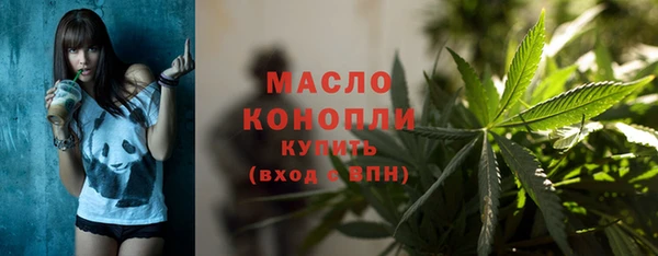 дживик Заводоуковск