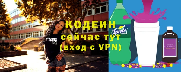дживик Заводоуковск